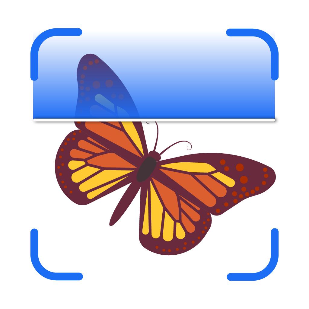 Insect AI App Logo